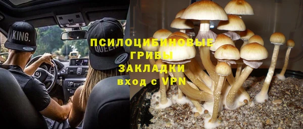 герыч Арсеньев